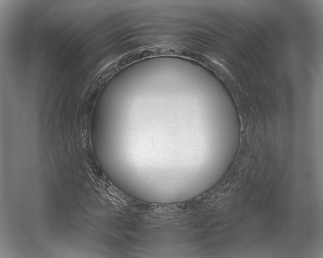 X0000057561015200509160804