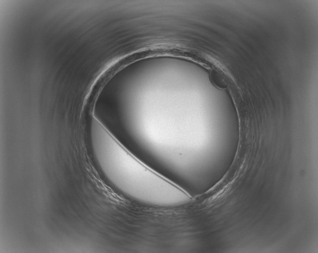 X0000057561021200509160805