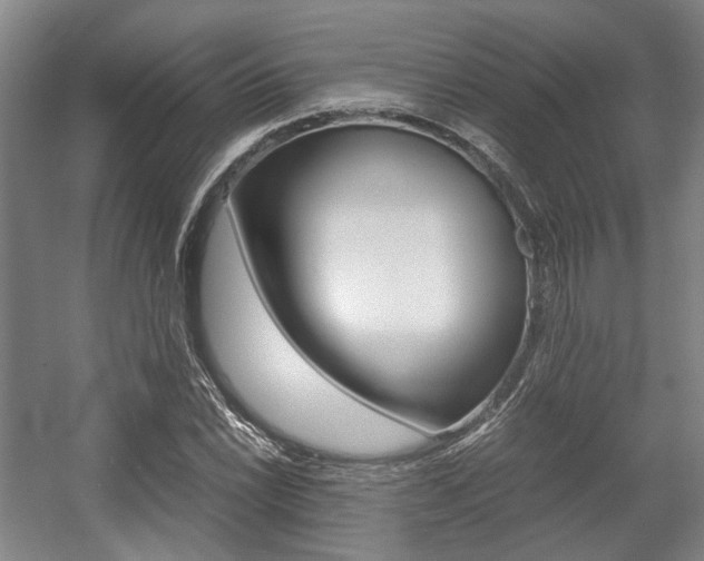 X0000057561022200509160805