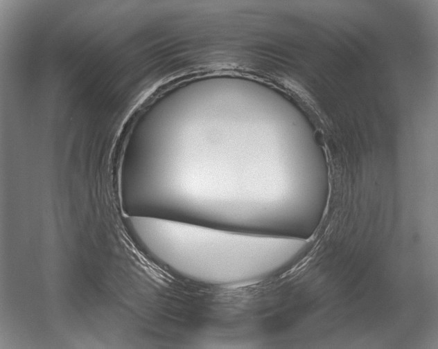 X0000057561023200509160805