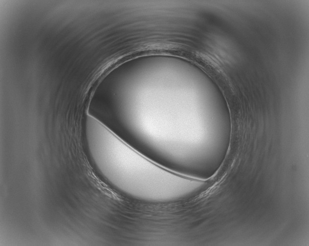 X0000057561025200509160805