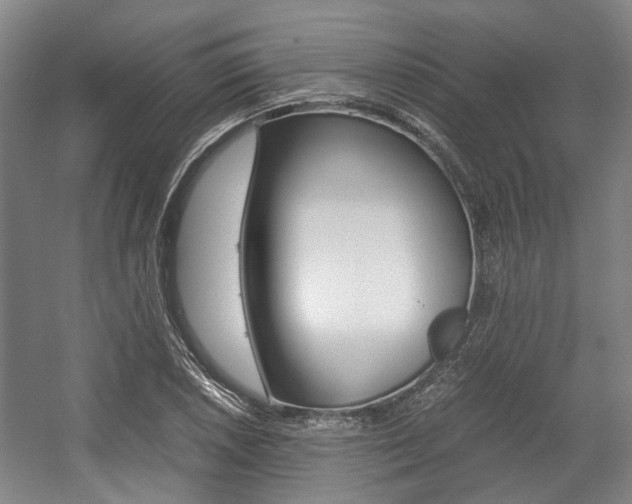 X0000057561026200509160805