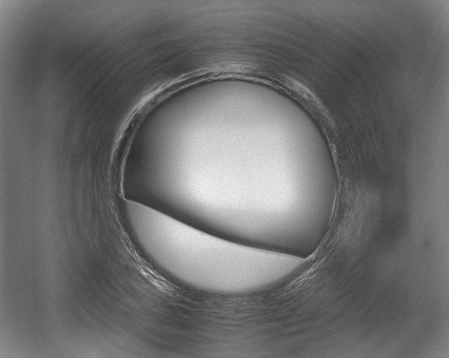 X0000057561027200509160805
