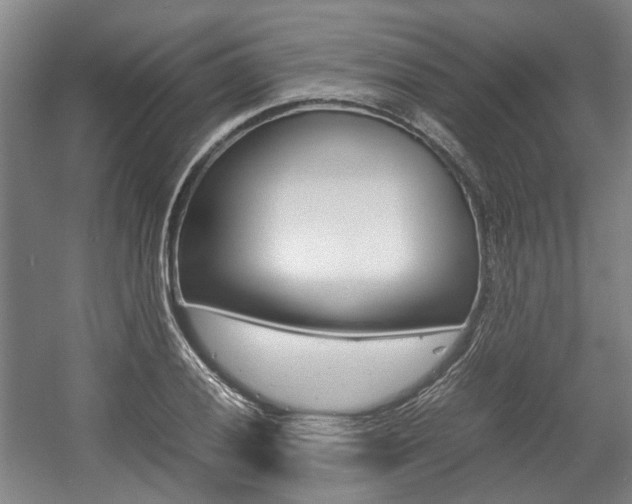X0000057561028200509160805