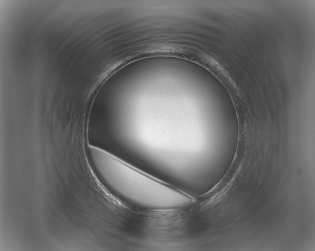 X0000057561033200509160805