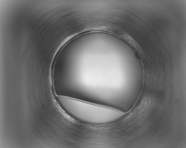 X0000057561036200509160805
