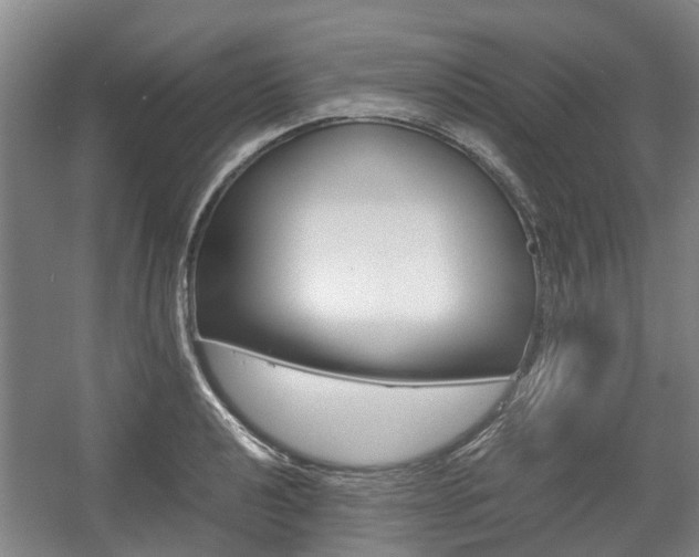 X0000057561040200509160805