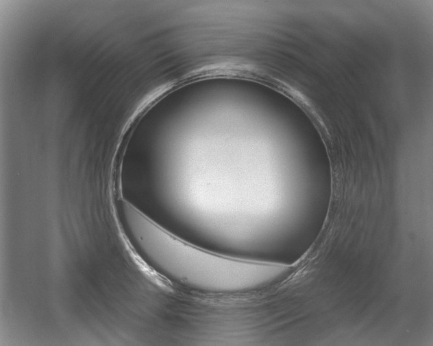X0000057561042200509160805