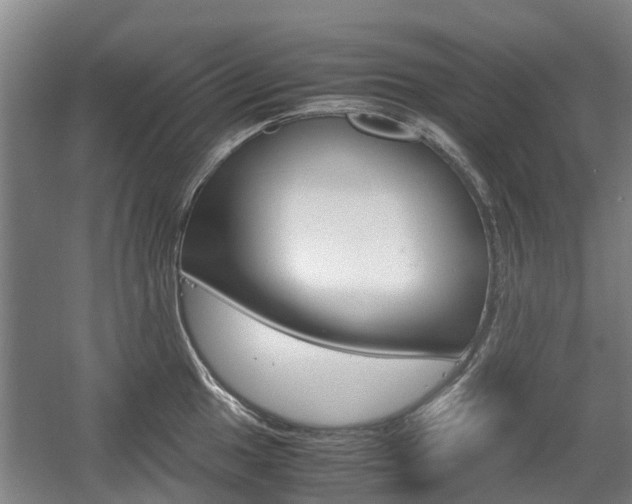 X0000057561049200509160805