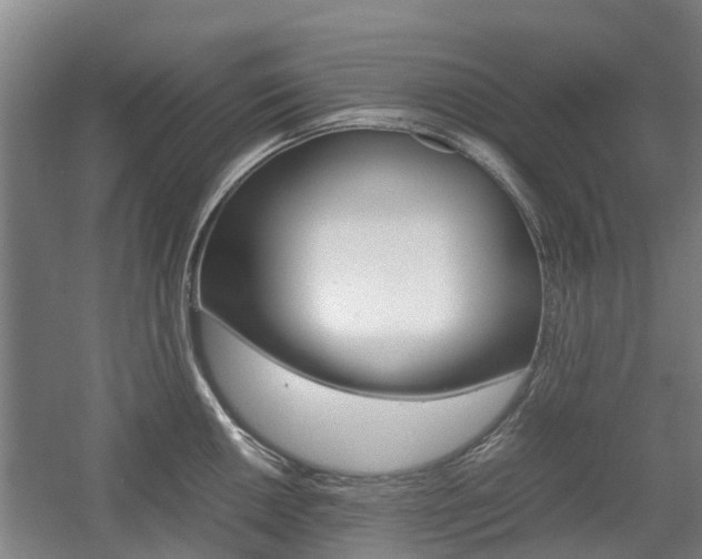 X0000057561050200509160805