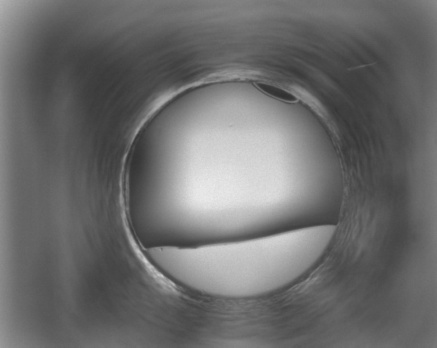X0000057561055200509160805