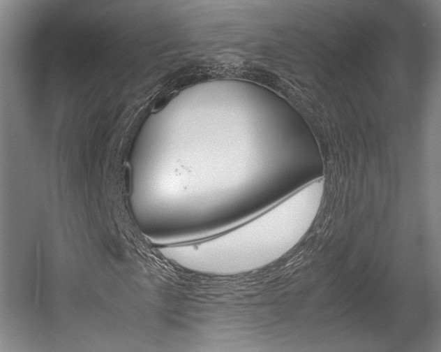 X0000057561057200509160804