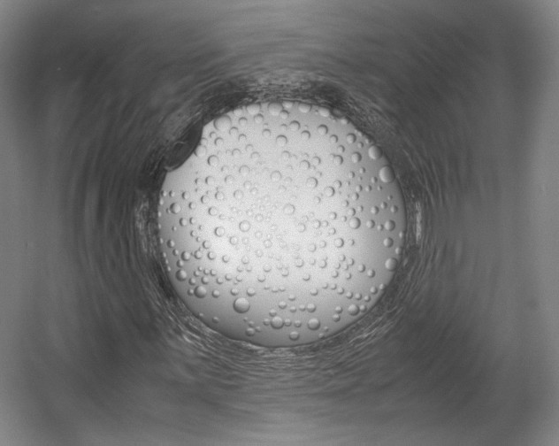 X0000057561059200509160804