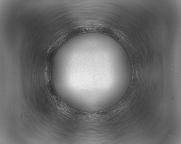 X0000057561060200509160804