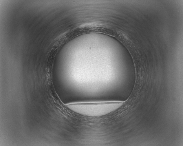 X0000057561062200509160804