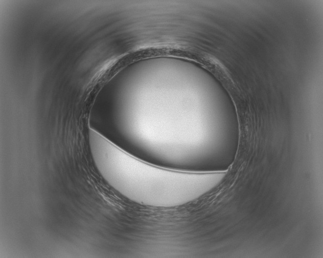 X0000057561064200509160804