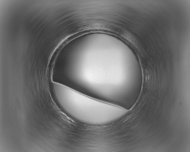 X0000057561068200509160804