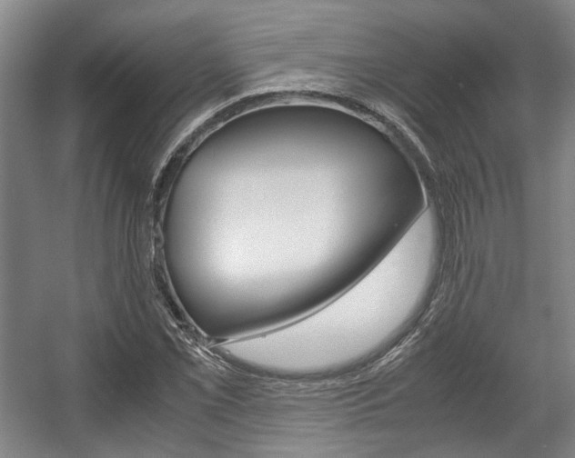 X0000057561069200509160804