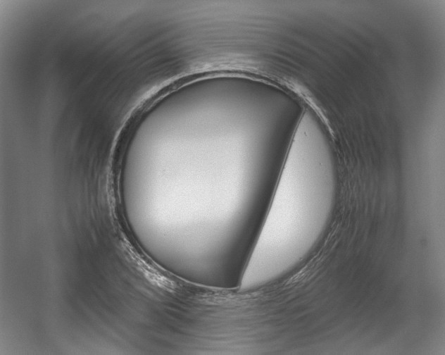 X0000057561072200509160804