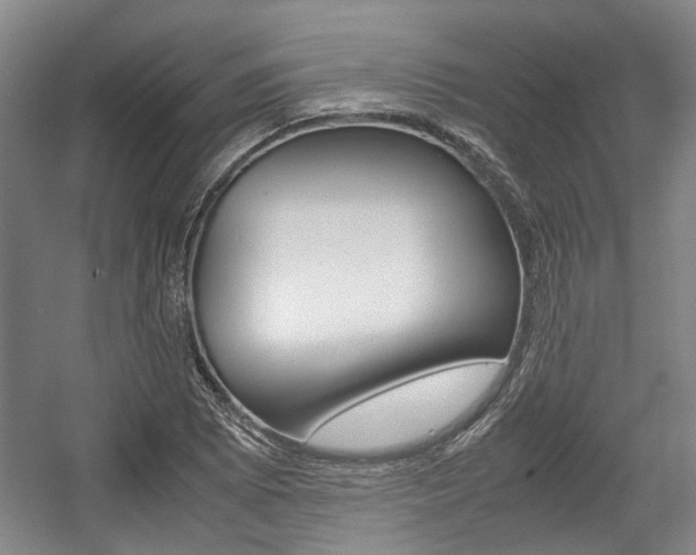 X0000057561073200509160804