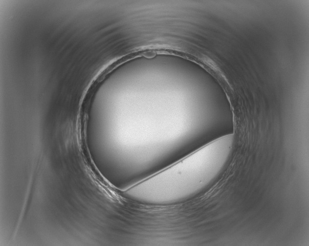 X0000057561076200509160804
