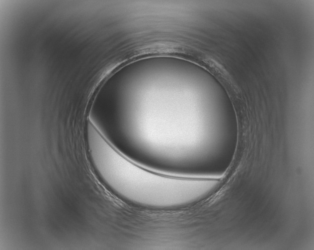 X0000057561081200509160804
