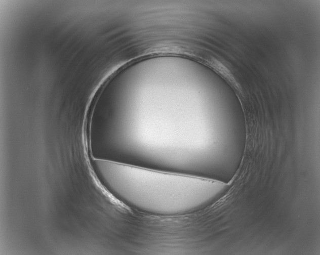 X0000057561084200509160804