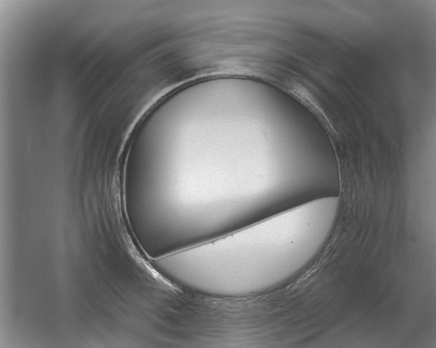 X0000057561092200509160804