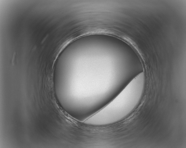 X0000057561097200509160804