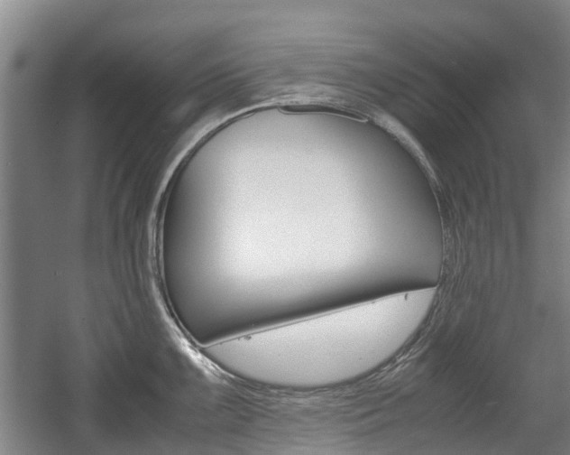 X0000057561099200509160804