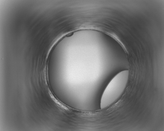 X0000057561100200509160804