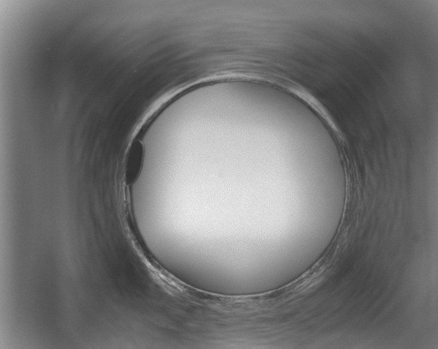 X0000057561101200509160804