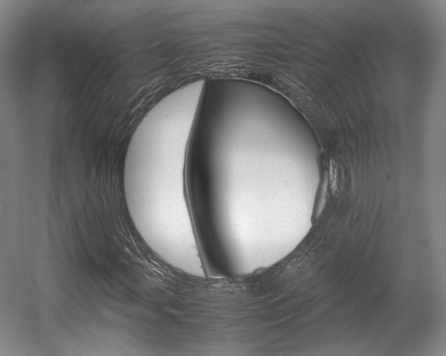 X0000057561107200509160803