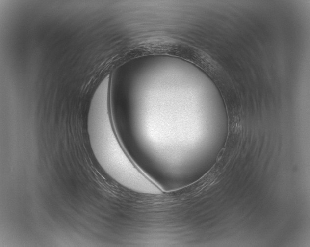 X0000057561108200509160803