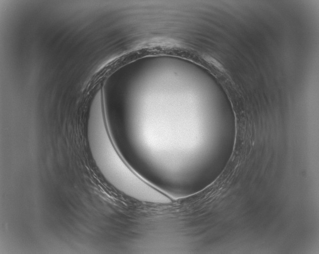 X0000057561112200509160803
