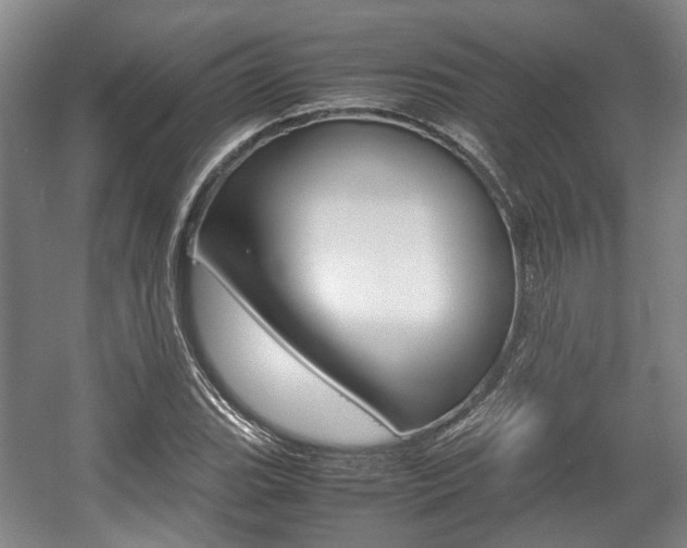 X0000057561119200509160803