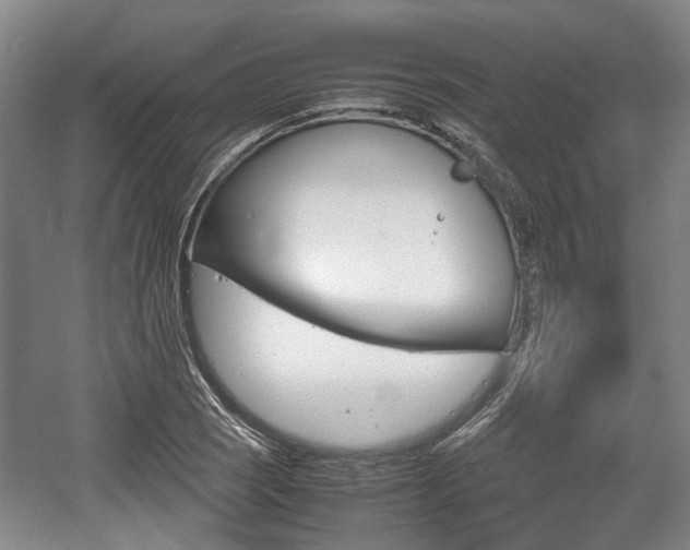 X0000057561121200509160803