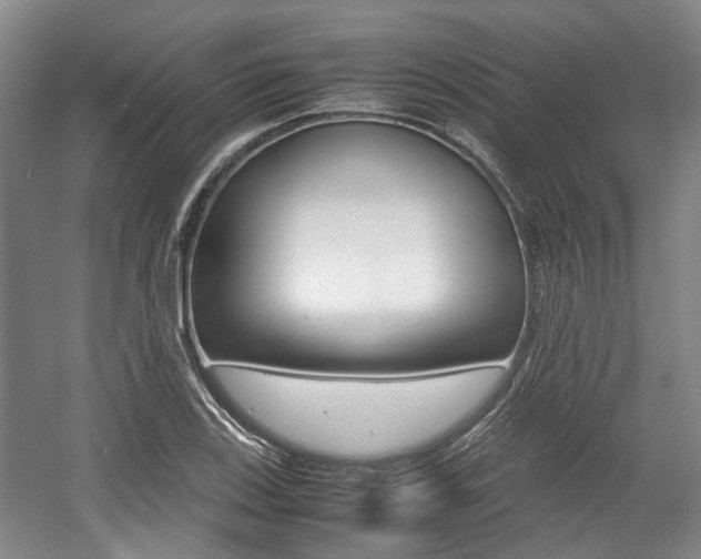 X0000057561123200509160803