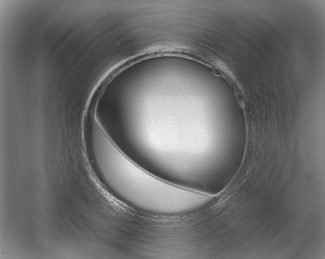 X0000057561124200509160803