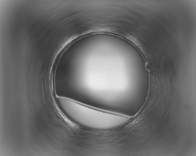 X0000057561127200509160803