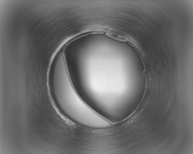 X0000057561128200509160803