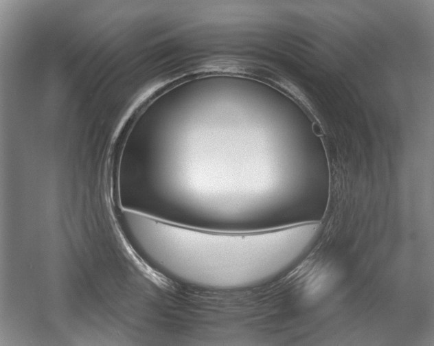X0000057561131200509160803