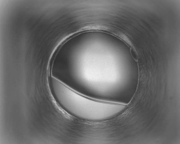 X0000057561132200509160803