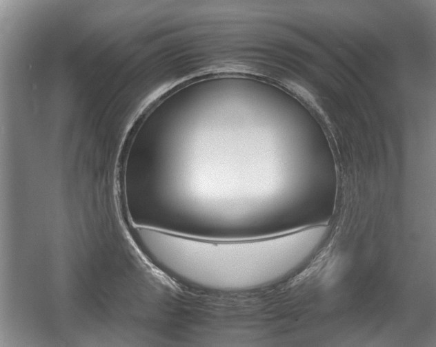 X0000057561133200509160803