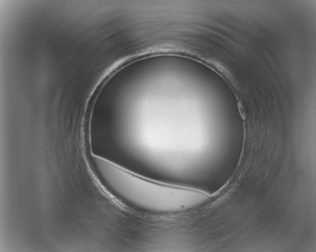X0000057561134200509160803