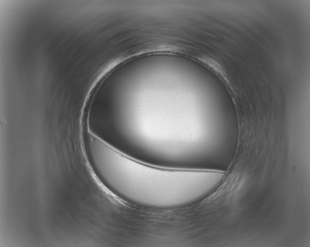 X0000057561135200509160803