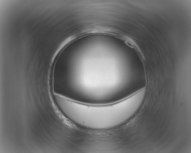 X0000057561138200509160803