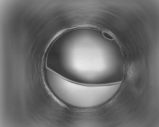 X0000057561142200509160803