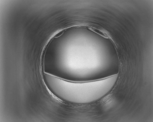 X0000057561143200509160803