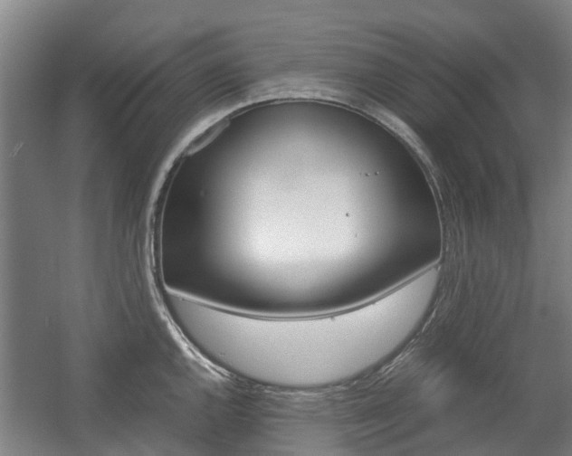 X0000057561144200509160803
